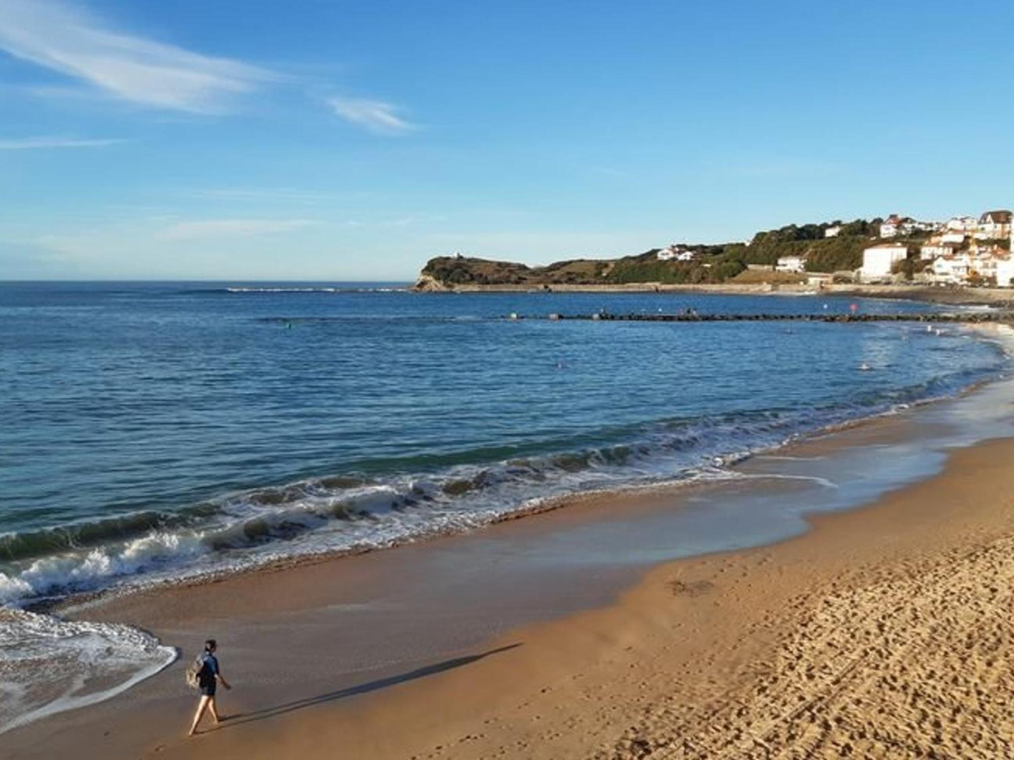 Charmant Studio Face Mer Avec Acces Direct Plage - Fr-1-4-659 생장드루즈 외부 사진